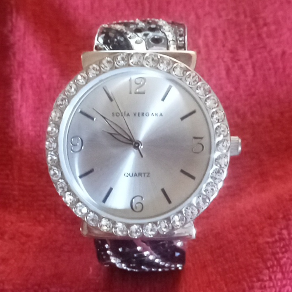 Sofia Vergara Watch - Picture 2 of 6